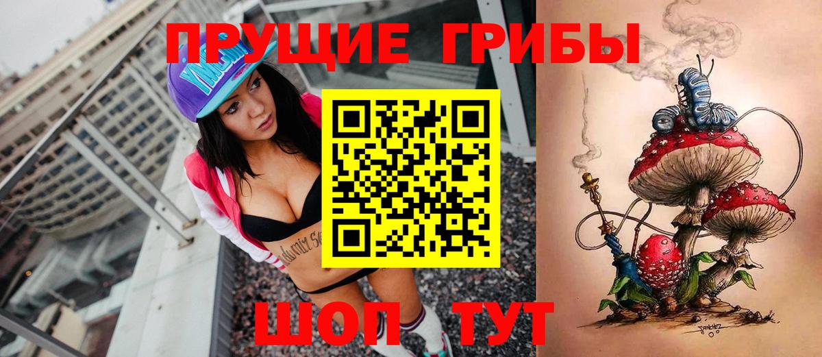Галлюциногенные грибы GOLDEN TEACHER Красноперекопск